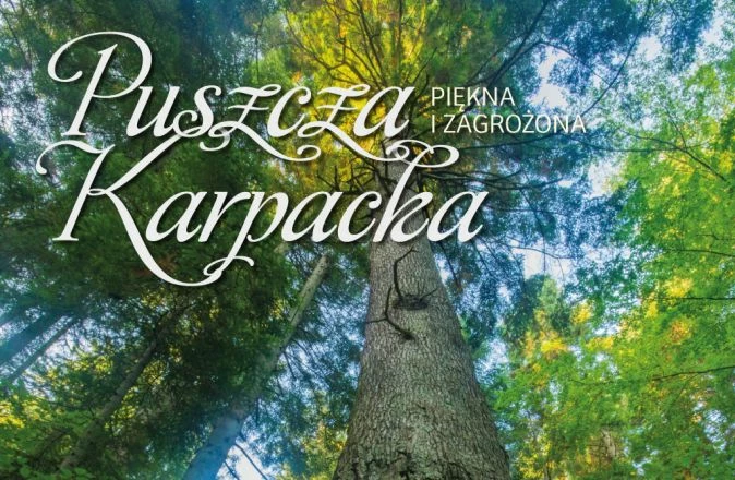 Dzikie Życie 11/2017 okładka