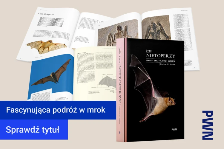 Zycie-nietoperzy-DeeAnn-Reeder-1200x800