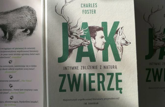 jak-zwierze-foster-kadr.jpg