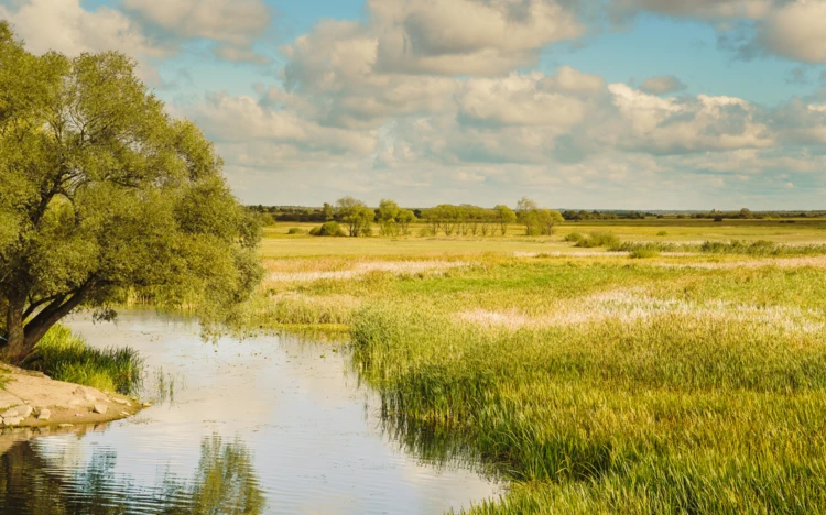 Rzeka Biebrza, Podlasie
