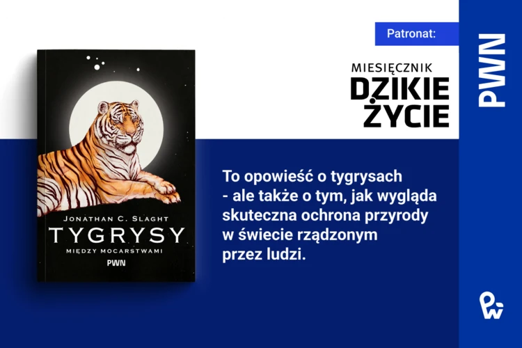Tygrysy-miedzy-mocarstwami-Jonathan-Slaght-1200x800