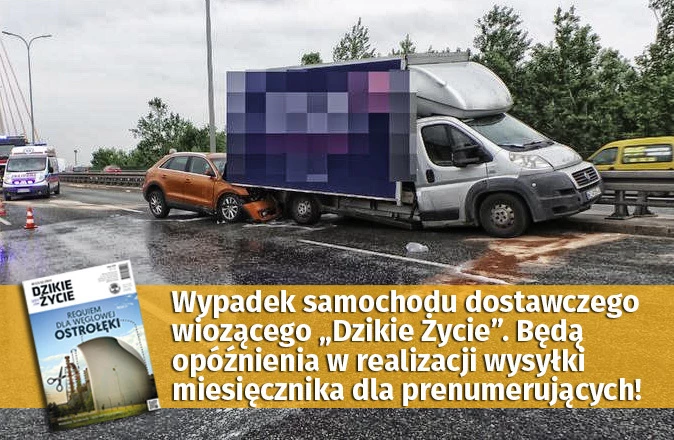 wypadek-dz-674x440.jpg