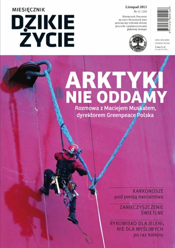 dzikie-zycie-listopad-2013-okladka.jpg