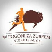 bieg-w-pogoni-za-zubrem-2017.jpg