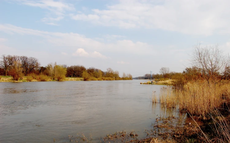 rzeka-Odra