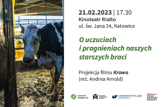 krowa-film-kme