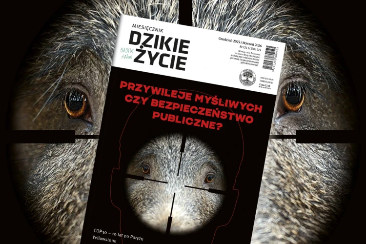 2025-12-www-dz_1200x800