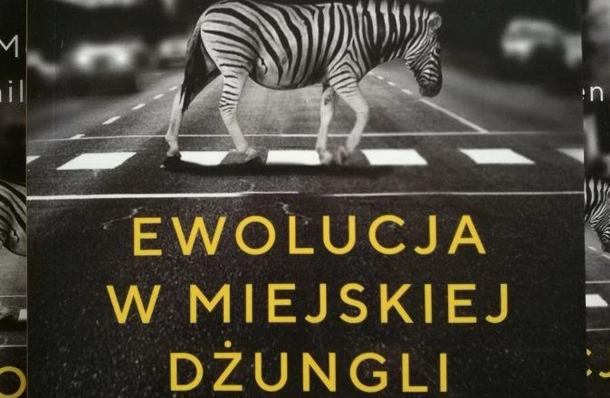 ewolucja-miejska-dzungla