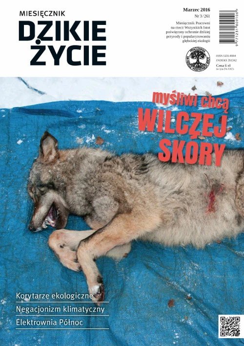 miesiecznik-dzikie-zycie-okladka-marzec-2016.jpg