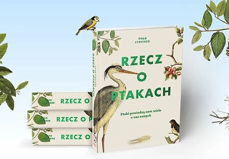 rzecz-o-ptakach-kadr.jpg