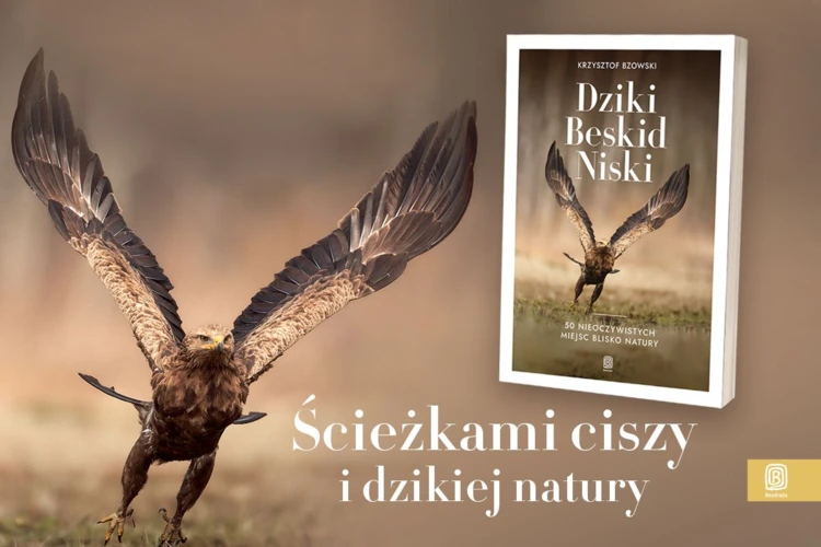 Dziki-Beskid-Niski-1200x800