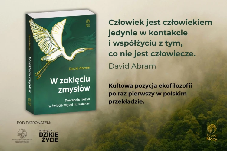 David-Abram-W-zakleciu-zmyslow-1200x800