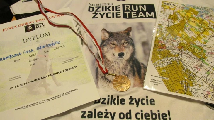 mazowiecka-2016.jpg