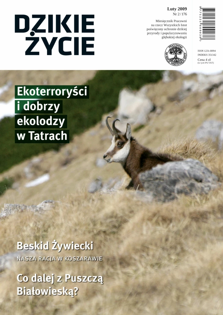 2009-02-okl-dz.jpg
