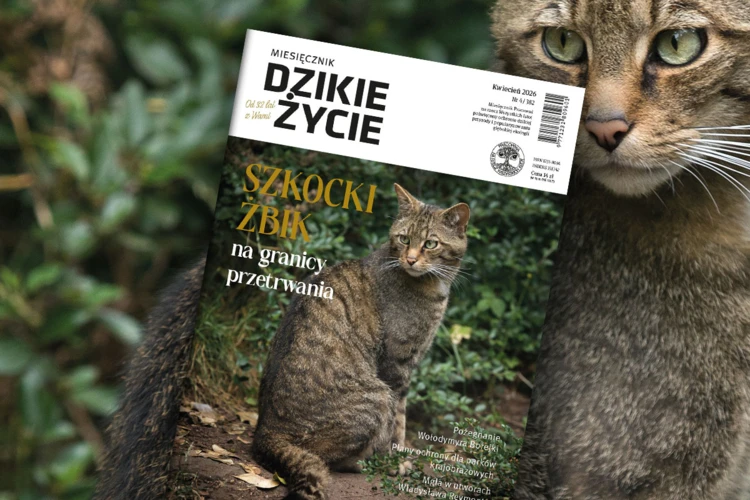 2026-04-www-dz_1200x800