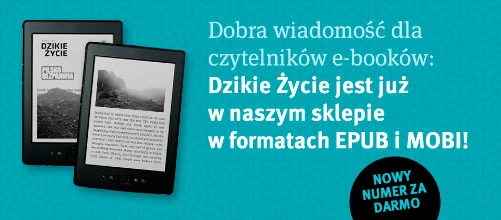 dz-elektroniczne-epub-mobi.jpg