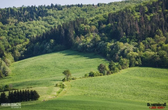 jaga-kora-2019-01-fot-karolina-krawczyk